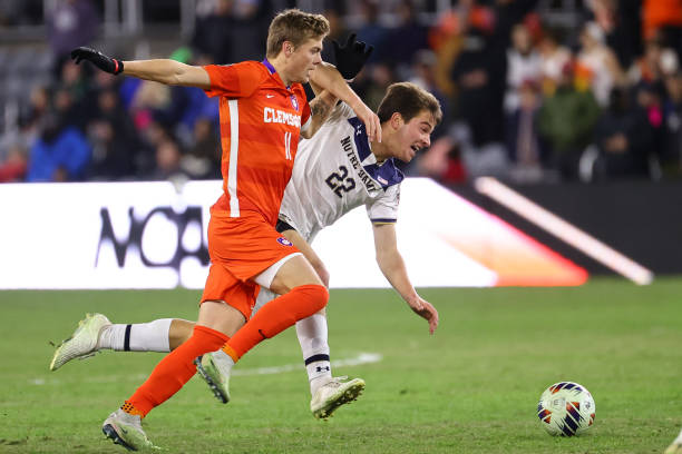 不得不让梅 不得不让梅